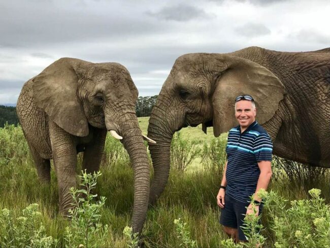 Paul Durrant_Elephants